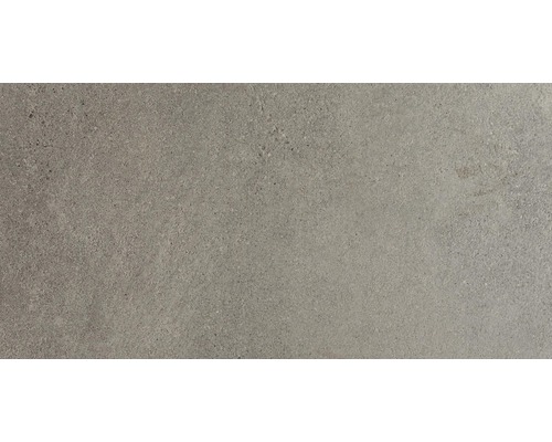 Carrelage sol et mur grès gris marron 30x60 cm