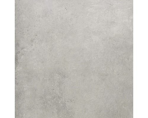 Carrelage sol et mur grès gris clair 80x80 cm
