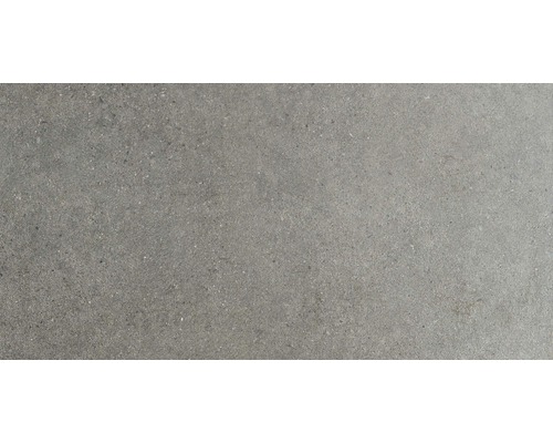Carrelage sol et mur grès gris 40x80 cm
