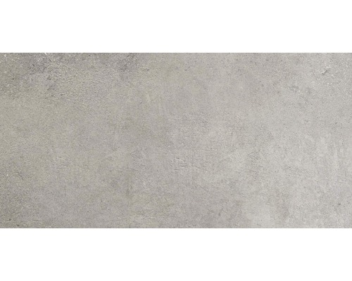 Carrelage sol et mur grès gris clair 40x80 cm