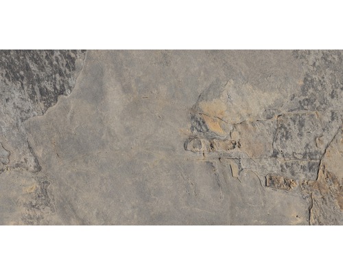 Carrelage sol et mur en grès cérame fin Ardesia gris 32x62.5 cm