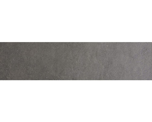 Wand- und Bodenfliese Sandstein schwarz 20x80 cm