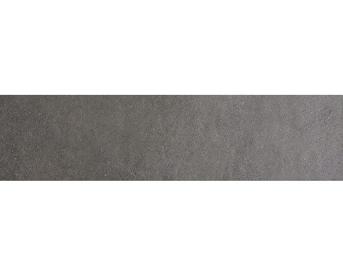 Wand- und Bodenfliese Sandstein schwarz 20x80 cm Fliesenmuster