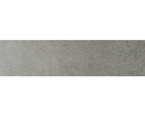 Carrelage sol et mur grès gris 20x80 cm