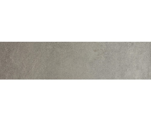 Carrelage sol et mur grès gris marron 20x80 cm