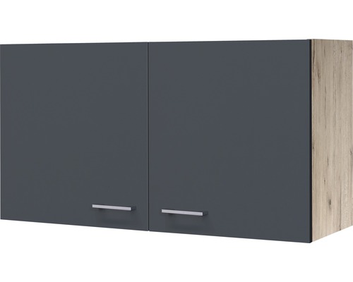 Hängeschrank Flex Well Tiago BxHxT 100x54.8x32 cm Frontfarbe basaltgrau - Korpusfarbe san remo eiche hell