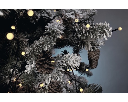 Arbre de Noël décoré avec pommes de pin et guirlande lumineuse