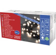 Guirlande lumineuse à LED pour extérieur en emballage