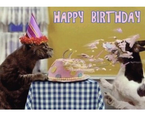 Une scène d''anniversaire avec un chat portant un chapeau de fête et un chien plongeant dans un gâteau