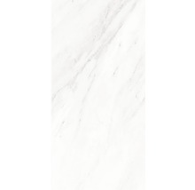 Kunststoffpaneel GX Wall+ Marmor grau 5x300x600 mm-thumb-0
