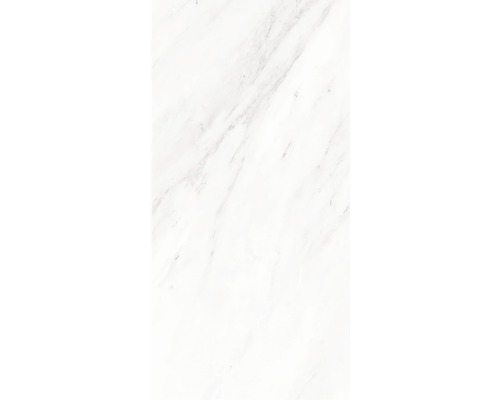 Panneau en plastique G x Wall+ marbre gris 600 x 300 x 5 mm Carrelage blanc aspect marbre