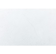 Kunststoffpaneel GX Wall+ White Stone 5x450x900 mm-thumb-3