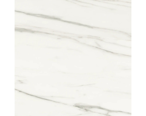 Feinsteinzeug Wand- und Bodenfliese Macael white poliert grau 120x120 cm