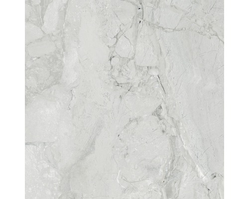 Feinsteinzeug Wand- und Bodenfliese Sicilia Cenere poliert grau 60x60 cm
