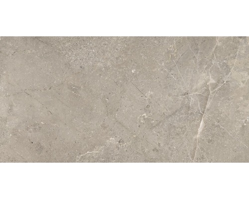 Feinsteinzeug Wand- und Bodenfliese Anden Natural matt grau 60x120 cm Feinsteinzeug Wand- und Bodenfliese Anden Natural matt grau 60x120 cm