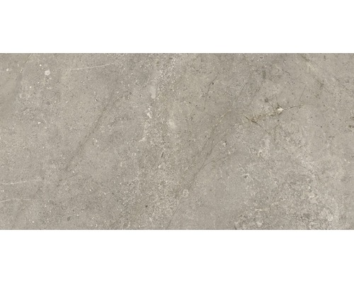 Carrelage sol et mur Anden Natural gris poli 60x120 cm