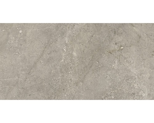 Feinsteinzeug Wand- und Bodenfliese Anden Natural poliert grau 60x120 cm