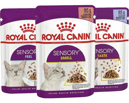 Pâtée pour chats ROYAL CANIN FHN Sensory Multipack Gravy  pack 12 x 85 g