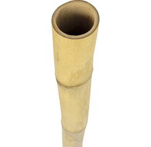Bambusrohr Ø 4-5 cm Länge 200 cm-thumb-0