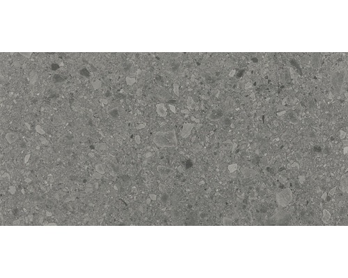 Carrelage sol et mur en grès cérame fin Terrazzo Donau gris 60x120 cm rectifié