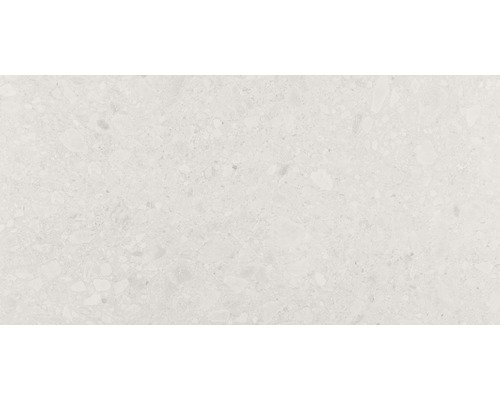 Feinsteinzeug Wand- und Bodenfliese Terrazzo Donau beige 60 x 120 cm rektifiziert