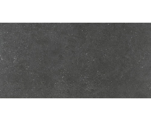 Carrelage pour mur et sol en grès cérame fin Alpen graphite 60x120 cm rectifié