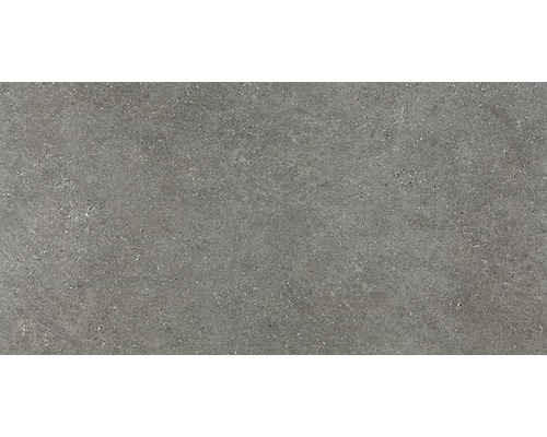 Carrelage pour mur et sol en grès cérame fin Alpen gris 60x120 cm rectifié