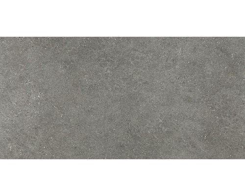 Feinsteinzeug Wand- und Bodenfliese Alpen grau matt BxLxS 60 cm x 120 cm x 1 cm Graue Keramikfliese mit Steinstruktur