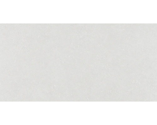 Feinsteinzeug Wand- und Bodenfliese Alpen weiss matt BxLxS 60 cm x 120 cm x 1 cm Fliesenbelag mit dezenter Struktur