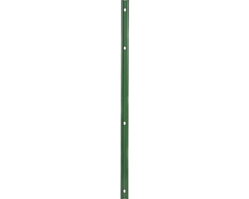 Profilleiste Multi 103 cm, grün