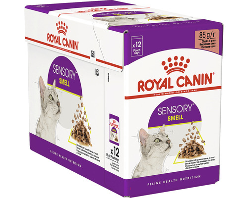 ROYAL CANIN Katzenfutter nass FHN Sensory Smell in Sauce 85 g Royal Canin Sensory Smell Katzennahrung, 12er Pack