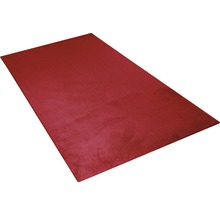 Tapis rectangulaire