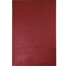 Peinture murale rouge pour intérieur