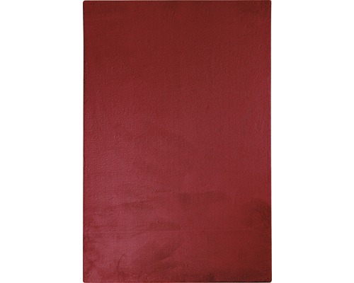 Peinture murale rouge pour intérieur