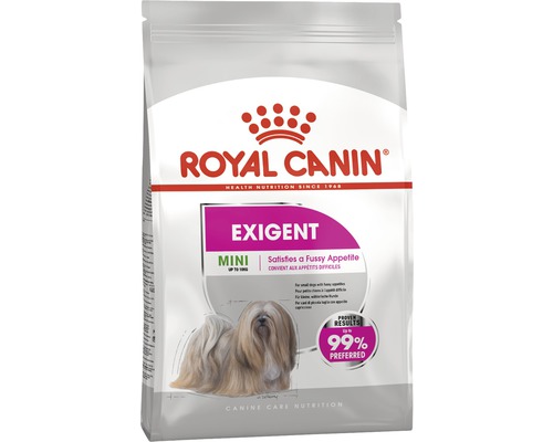 Croquettes pour chien ROYAL CANIN Mini Exigent 3 kg Paquet d''aliments secs pour chiens Royal Canin Exigent Mini