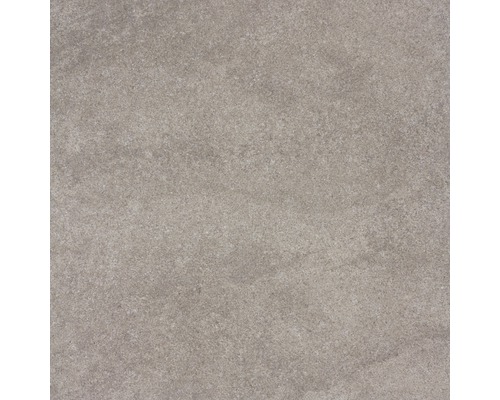 Carrelage pour sol et mur en grès cérame fin UDINE beige-gris 60 x 60 cm