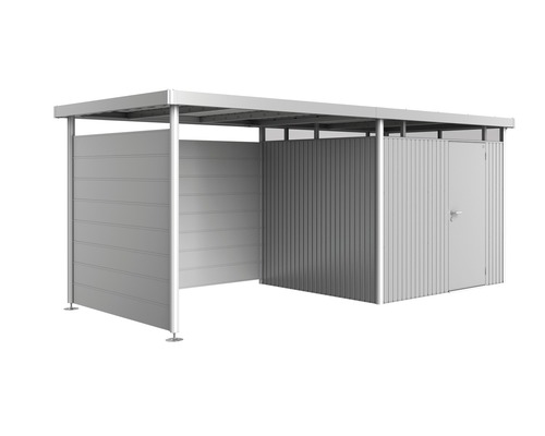 Abri de jardin avec porte et toit ouvert