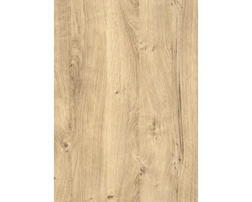 d-c-fix® Klebefolie Holzdekor Ribbeck Oak 90x210 cm Holzstruktur für Möbelbau und Innenausbau