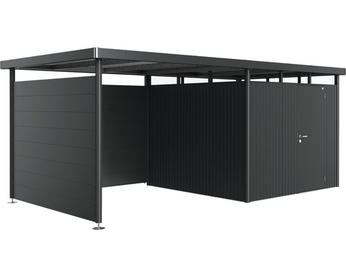 Abri de jardin métallique avec toit plat et porte