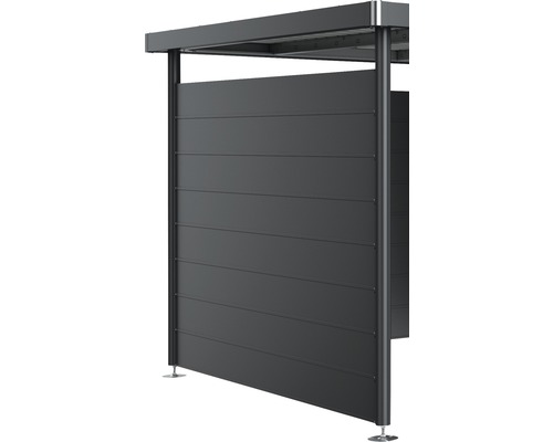 Paroi latérale biohort pour toit latéral d'abri de jardin HighLine H4 gris foncé métallique Paroi latérale biohort pour toit latéral d'abri de jardin HighLine H4 gris foncé métallique