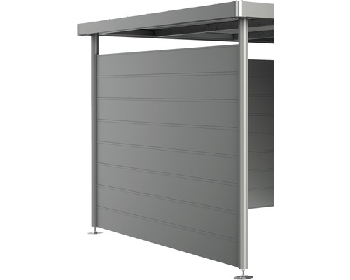Paroi latérale biohort pour toit latéral d'abri de jardin HighLine H5 gris quartz métallique Paroi latérale biohort pour toit latéral d'abri de jardin HighLine H5 gris quartz métallique
