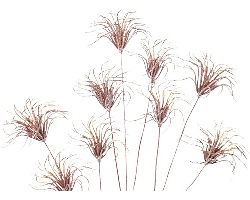 Branches décoratives artificielles d''herbe à plumes pour la décoration intérieure