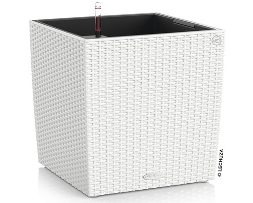 Bac Lechuza Cube Cottage plastique 50x50x50 cm blanc avec système d'arrosage en terre et indicateur de niveau d'eau