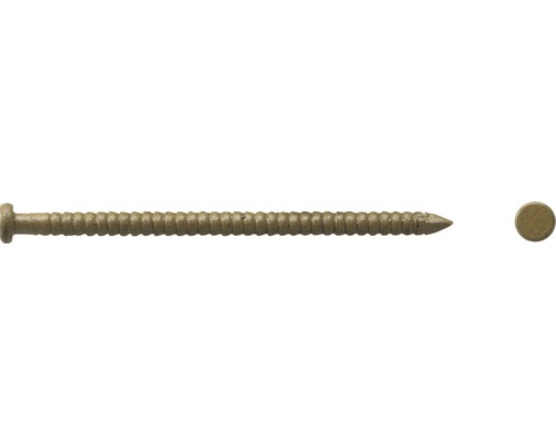 Tige pour panneau (tige colorée) 1,6x40 mm, beige, 80 pièces Vis à bois avec tête bombée et filetage