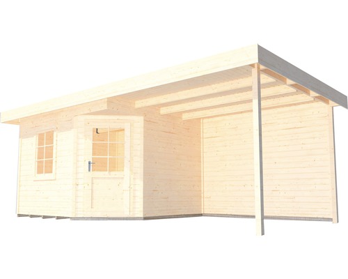 Abri de jardin en bois avec toit