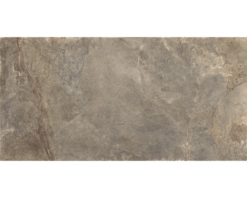 Wand- und Bodenfliese Schiefer taupe 60x120 cm Fliese in Steinoptik