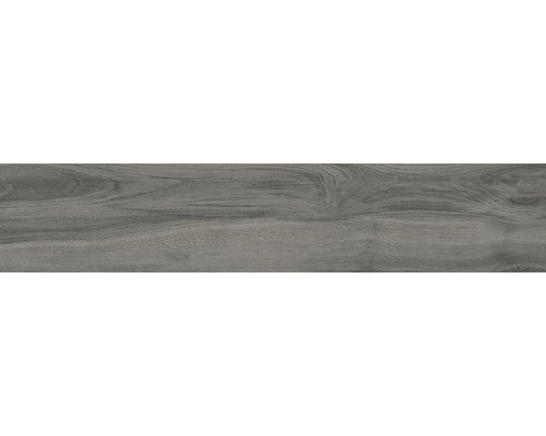Wand- und Bodenfliese Aretino dark 24x120 cm