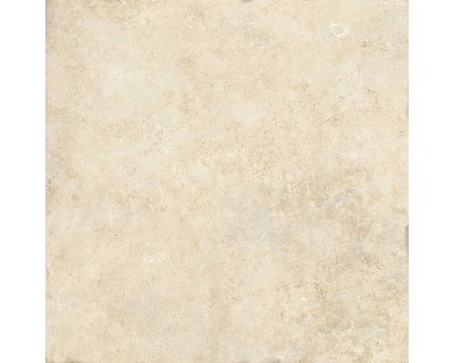 Carreau de sol beige avec surface mouchetée