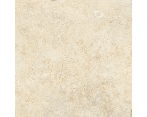 Wand- und Bodenfliese Apulia cream 40.6x40.6 cm