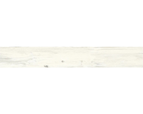 Wand- und Bodenfliese Aretino ivory 26.5x180 cm